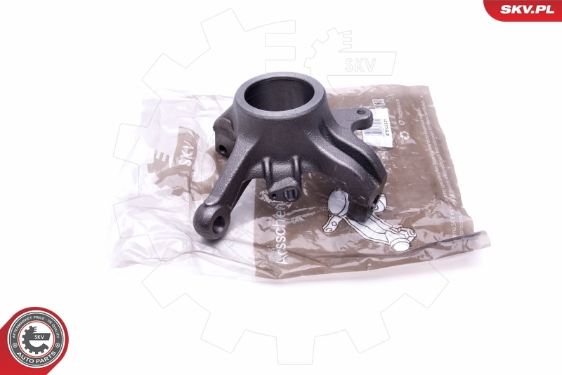 Steering Knuckle, wheel suspension